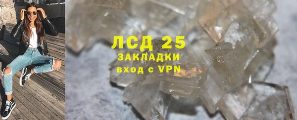 шишки Арсеньев