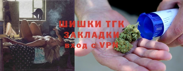 шишки Арсеньев