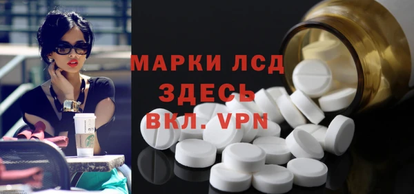 шишки Арсеньев