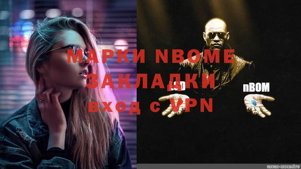 шишки Арсеньев