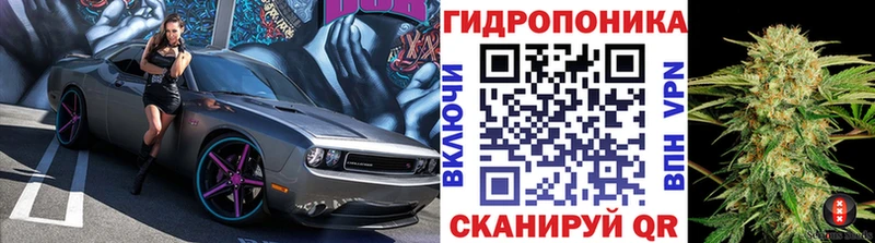 магазин Камень-на-Оби Конопля White Widow